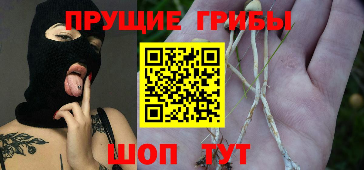 Псилоцибиновые грибы GOLDEN TEACHER Королёв